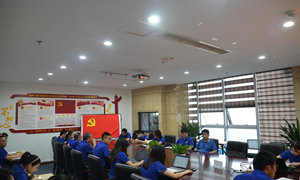 過政治生日，做大業(yè)先鋒——大業(yè)科技集團黨支部慶“七一”主題黨日活動
